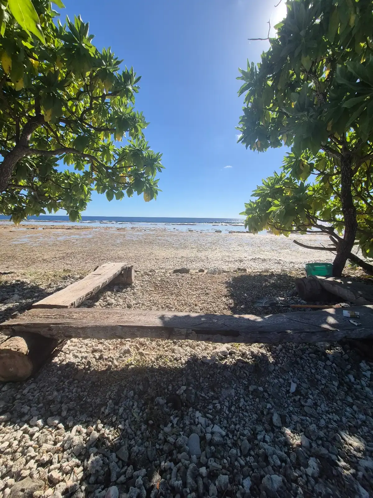 Bancs à l’ombre des arbres, face au platier océan