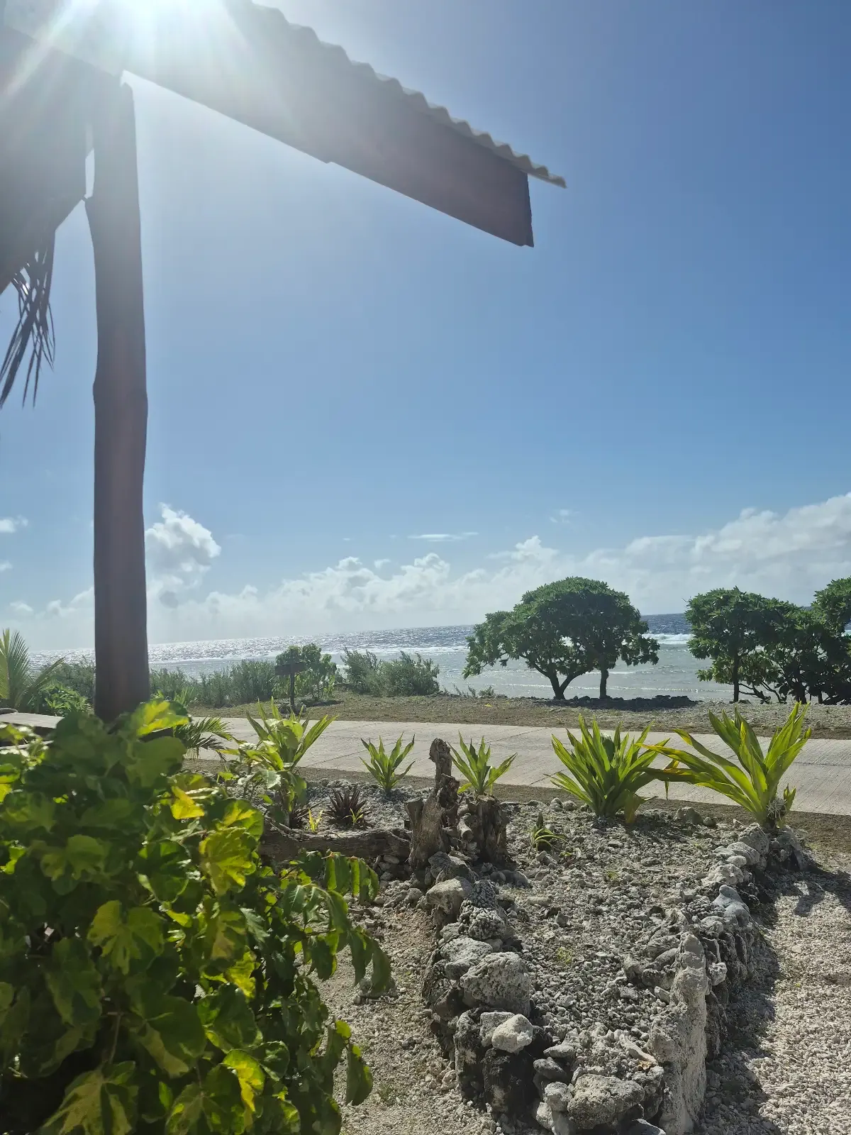 La route côtière sous les palmiers