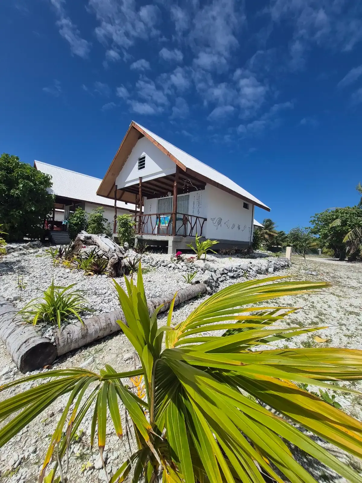 Bungalow et jardin de corail au bois flotté