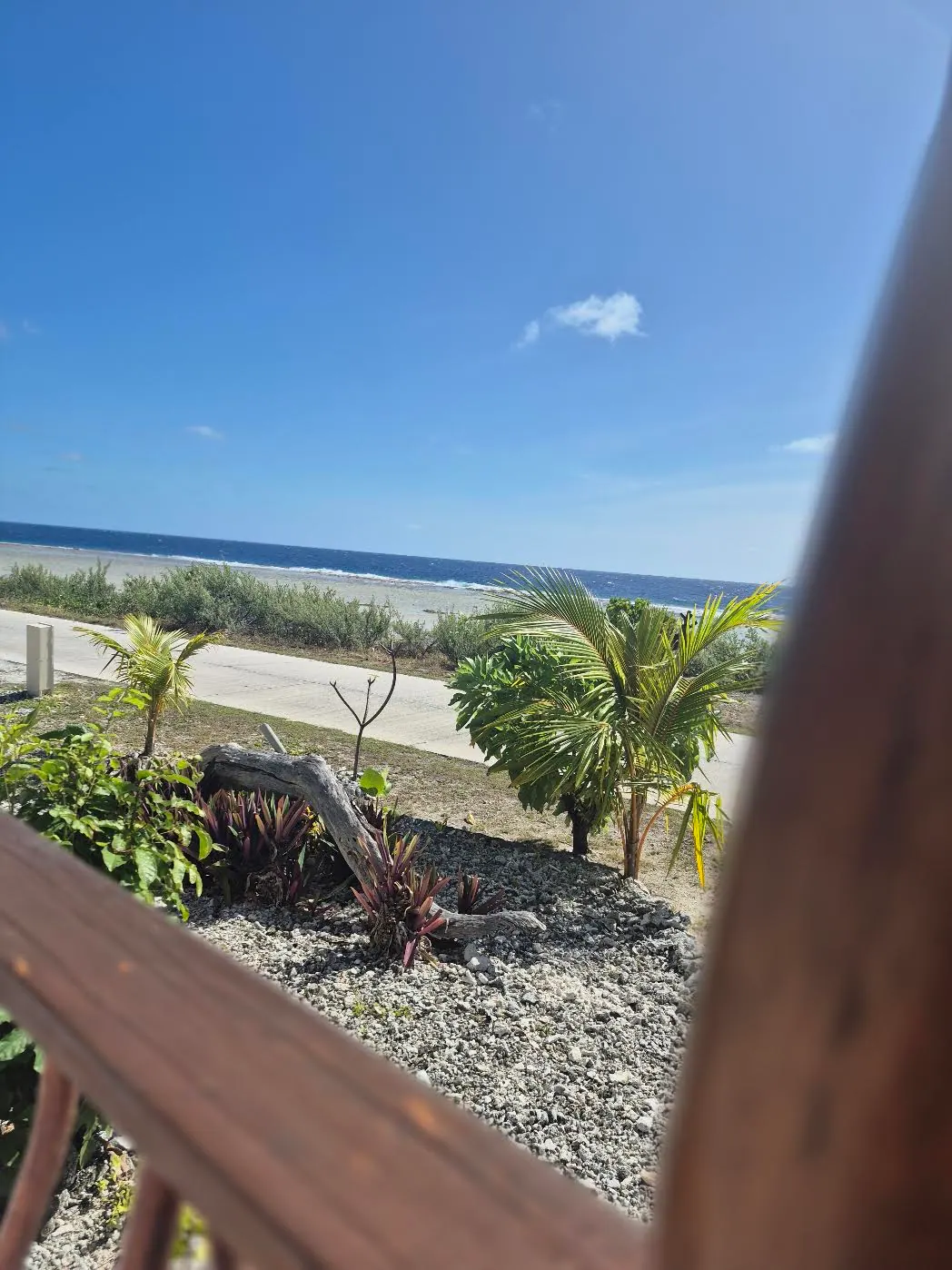 Le jardin et l’océan depuis la terrasse
