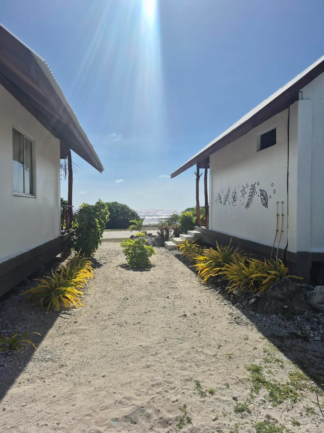 Allée bordée de plantes entre les bungalows