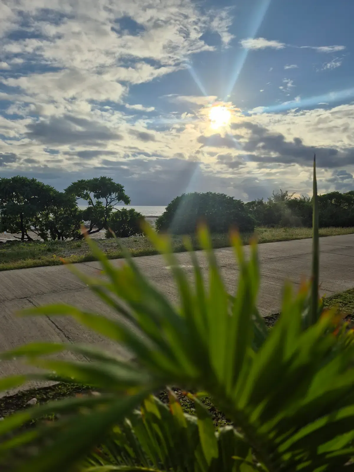Le soleil se lève sur la route du motu