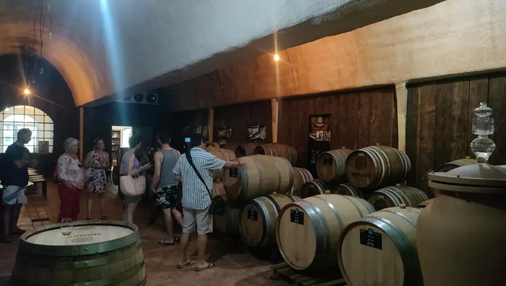 Tonneaux de chêne dans la cave à vin de Rangiroa pendant une visite
